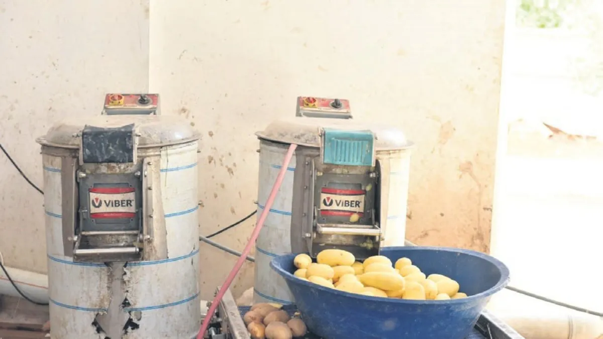 Sağlıksız 1.5 ton patates yakalandı: Otellere verilmeden imha edildi