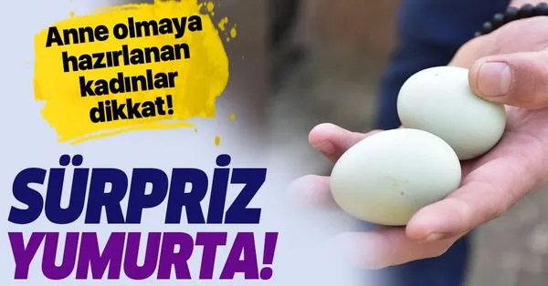 Hamile Kalma Donemleri