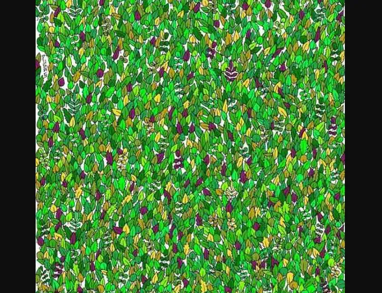 resimdeki-kurbagayi-bulabilir-misin-1000-kisiden-999u-bulamadi-1724761000176.jpg Resimdeki kurbağayı bulabilir misin? 1000 kişiden 999'u bulamadı-2