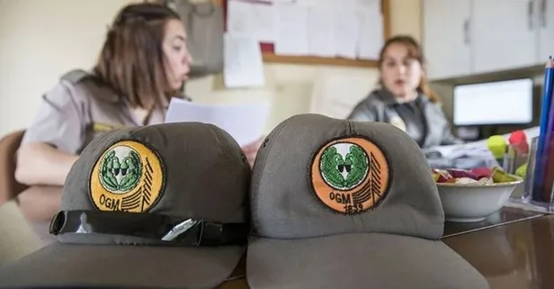 OGM İŞÇİ ALIMI İŞKUR KURA TAKVİMİ 2025 | Orman Genel Müdürlüğü personel alımı sonuçları ne zaman açıklanacak?