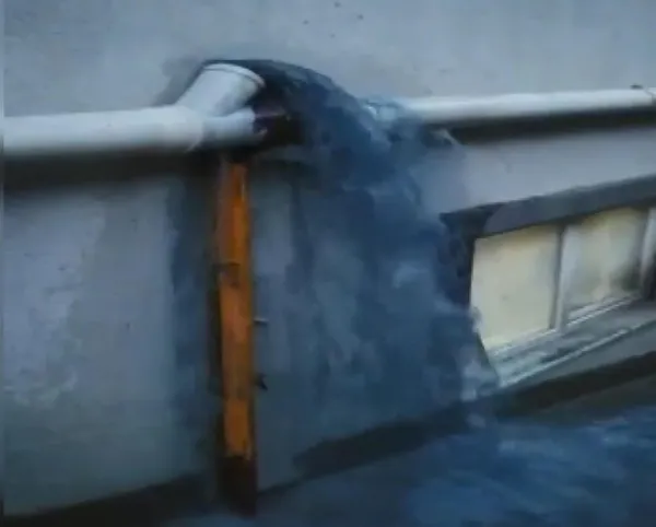 esenyurtta-mavi-su-bu-defa-sokaklara-akti-mahalleli-sokak-kopeklerinin-olmesine-isyan-etti-1622277213000.jpg Esenyurt'ta mavi su bu defa sokaklara aktı! Mahalleli sokak köpeklerinin ölmesine isyan etti-2