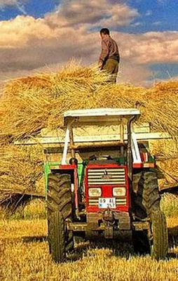 Tarımda 6 dev adım