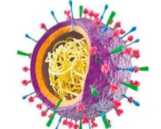 Geri dönüşü engellenebilir