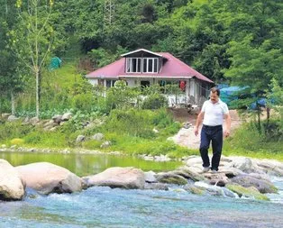 Survivor Ordu
