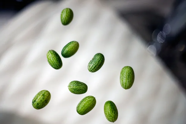 Antalya'da akılalmaz olay! Paketi 10 liradan satılıyor-1