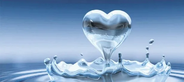 Suya 30 milyon dolar