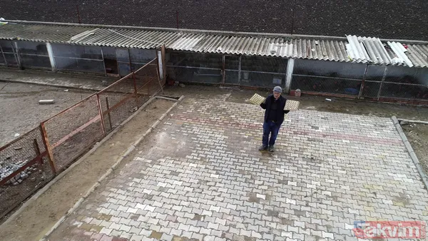 Tanesi 7 TL'ye yumurta! Yere atıldığında bile kolay kolay kırılmıyor - 17