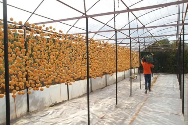 para-etmiyor-diye-basladi-3-yildir-buyuk-islere-imzasini-atiyor-toplam-35-liradan-1607630588377.jpg Para etmiyor diye başladı! 3 yıldır büyük işlere imzasını atıyor! Toplam 35 liradan...-3