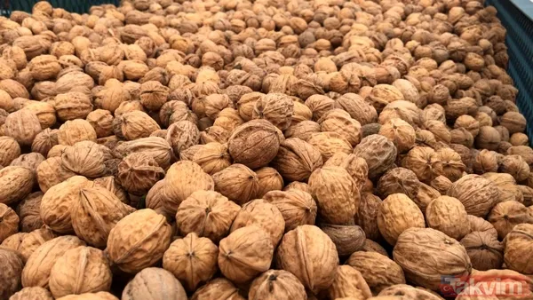 Fındık, fıstık Değil: Doktorlar açıkladı! Ömrü uzatan ve DNA’yı koruyan kuruyemiş belli oldu - 8