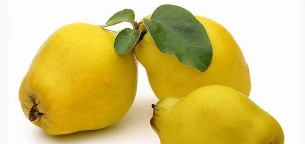 Basur ağrılarına ayva