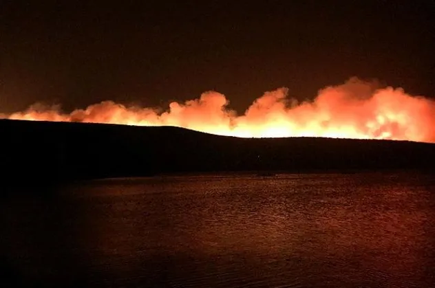 Son dakika: İzmir Çeşme'de yangın: Kontrol altına alındı