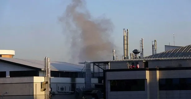 Pendik’te kuru yemiş fabrikasında korkutan yangın
