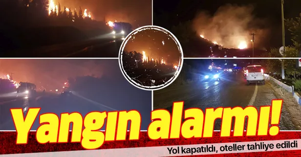 Son dakika... İzmir Menderes'te orman yangını