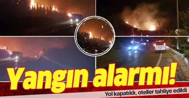 Son dakika... İzmir Menderes’te orman yangını