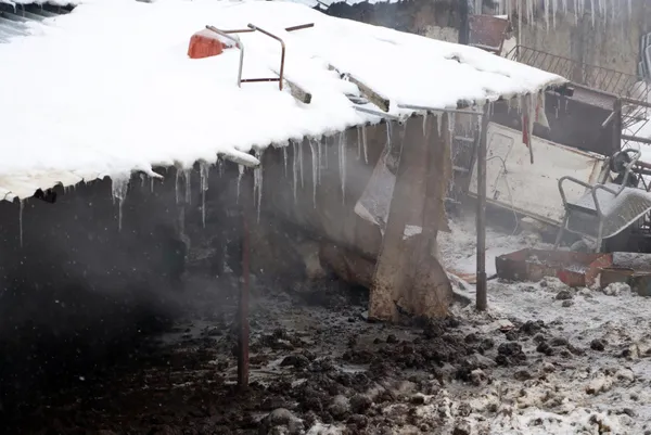 eskisehirde-turgutlar-mahallesinde-agilda-cikan-yangin-3-saatte-sonduruldu-50-hayvan-telef-oldu-800-bin-lira-z-1643191280187.jpg Eskişehir'de Turgutlar Mahallesi'nde ağılda çıkan yangın 3 saatte söndürüldü! 50 hayvan telef oldu 800 bin lira zarar-12