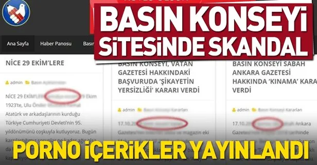 Basın Konseyi internet sitesinde porno skandalı