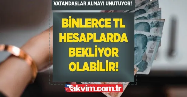 Binlerce TL hesaplarda bekliyor! Vatandaşlar almayı unutuyor!