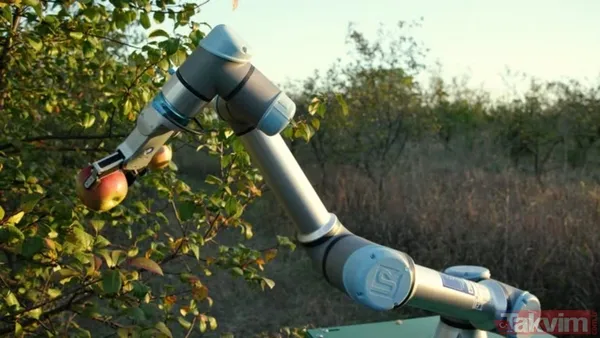 Yapay zekanın en büyük kurbanı onlar! İşte risk altındaki yaş grubu - 4