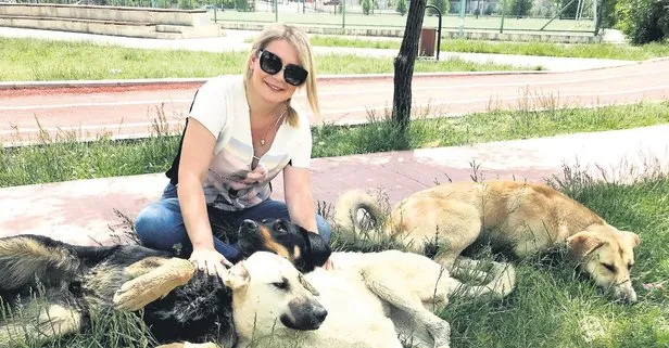 Ankara’da sokak köpeklerini besleyen Buket Özgünlü’ye saldırı!