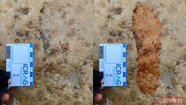 Köpek gezdirirken zaman makinesi buldular: Sahilde 2 bin yıllık keşif - 2