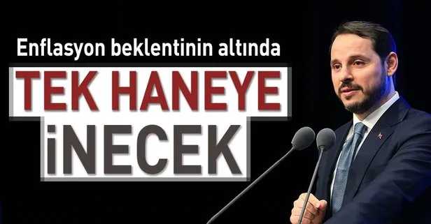 Tek haneye inecek