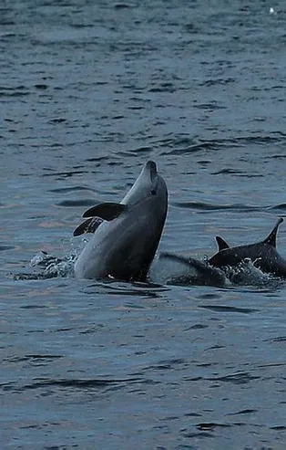 Kovid-19 sürecinde yollar boşaldı hava kirliliği azaldı