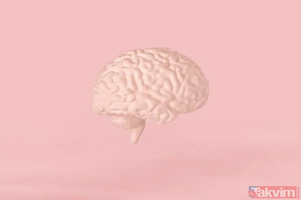 Bunu görüyorsanız çok zekisiniz! Bilim adamları açıkladı! İşte kişiliğinizi ortaya koyan o görsel... - 1