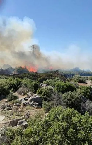 Çanakkale'de makilik alan yangını!