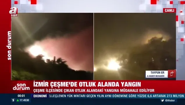 Çeşme'de otluk alanda yangın!
