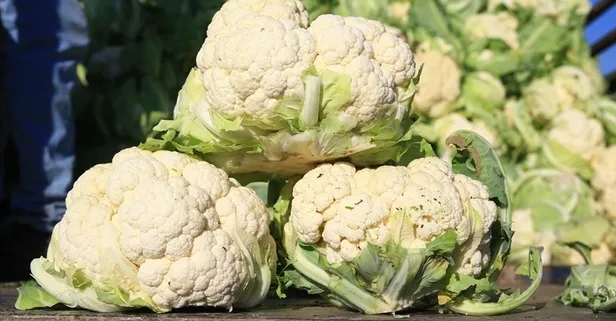 Karnabaharın faydaları saymakla bitmiyor