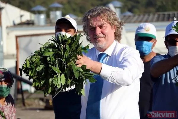 Ülkemizde oldukça bol var.. Ayda 6000 TL kazanıyorlar! Paraya para demiyorlar! Sizde toplayıp kazanabilirsiniz! - 3