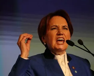 Siyasal parti değil ihanet çetesi!