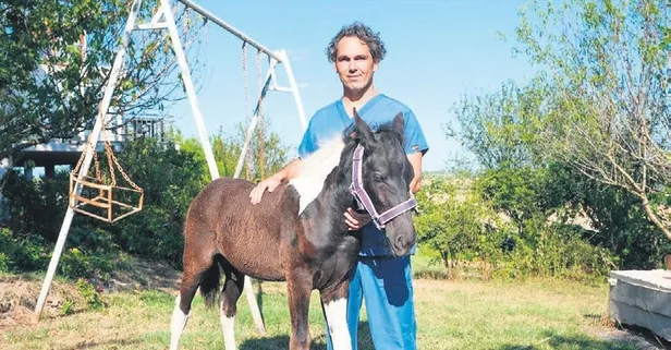 Türkiye'nin ilk tüp tayı "Balat" görücüye çıktı