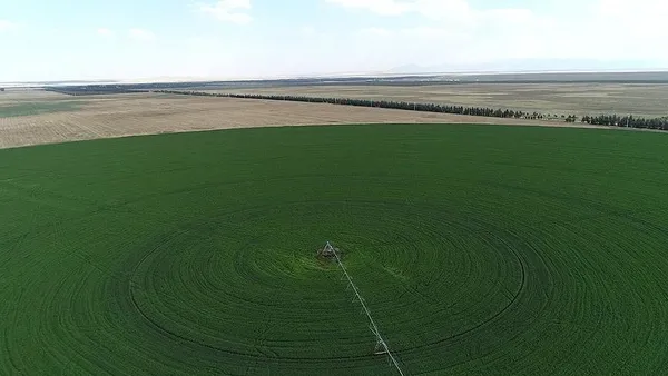 Yatırımlara Hazine arazisi desteği! 2021-23 döneminde dev arz