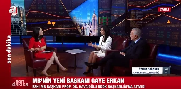 dr-hafize-gaye-erkan-turkiye-cumhuriyet-merkez-bankasina-tcmb-atanan-ilk-kadin-baskan-oldu-1686266340022.jpeg