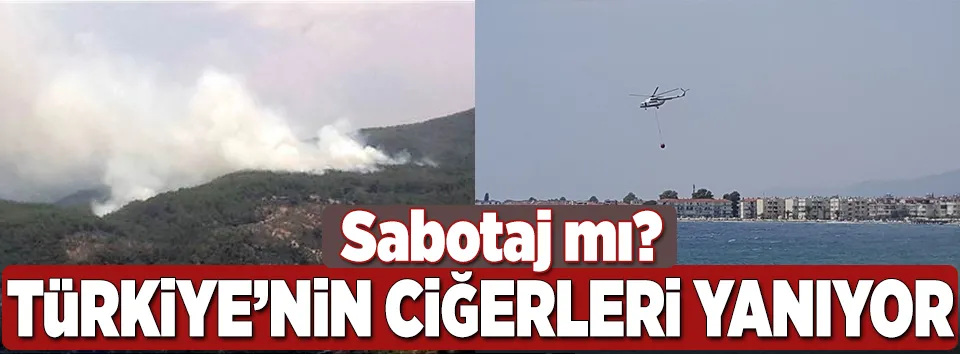 Türkiye'nin ciğerleri Kazdağları'nda yangın