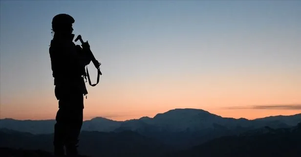 SON DAKİKA! PKK’da çözülme sürüyor! Bir terörist daha teslim oldu