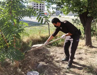 Ceset var diye kazılan çukurdan çıkan şoke etti! Ev sahibi gömmüş...