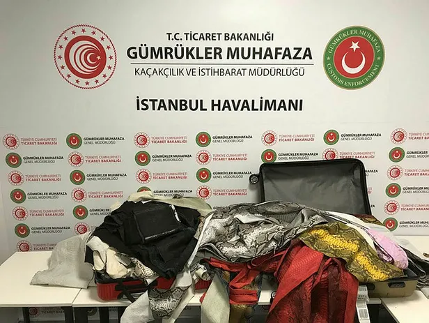 Hepsi İstanbul Havalimanı'nda yakalandı! Tam 355 metrelik yılan...-3