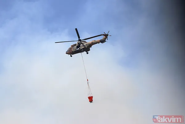 İzmir Bornova'da orman yangını: O yol kapatıldı - 18
