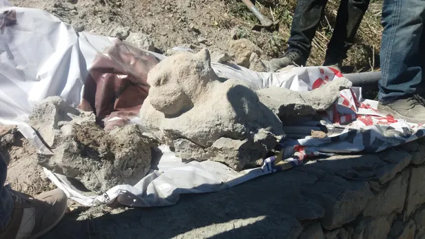 Polis, aslan figürlü kaya parçası için 3 gün nöbet tuttu-3