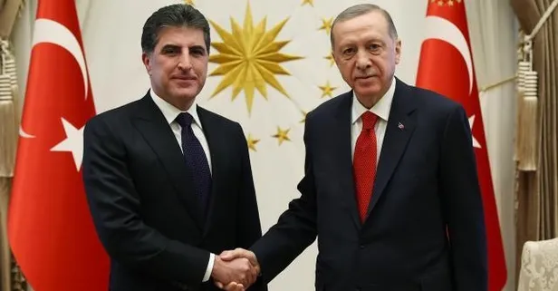 Başkan Erdoğan Neçirvan Barzani'yi kabul etti