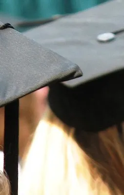 Hollanda'da skandal yasak