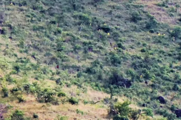 Uganda'da 219 mahkum çıplak halde firar etti!