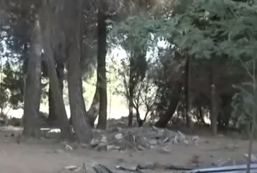 Ruhsatsız ve kaçak yapılar yıkılıyor! Tarihi Gelibolu Yarımadası'nda ruhsatsız ve kaçak yapıya geçit yok