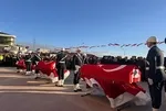 Şehitlere veda: İlker Pehlivan karanfillerle uğurlandı | Kardeşi Turgut Külünk’ü böyle uğurladı: Bizi orada bekle ağabey