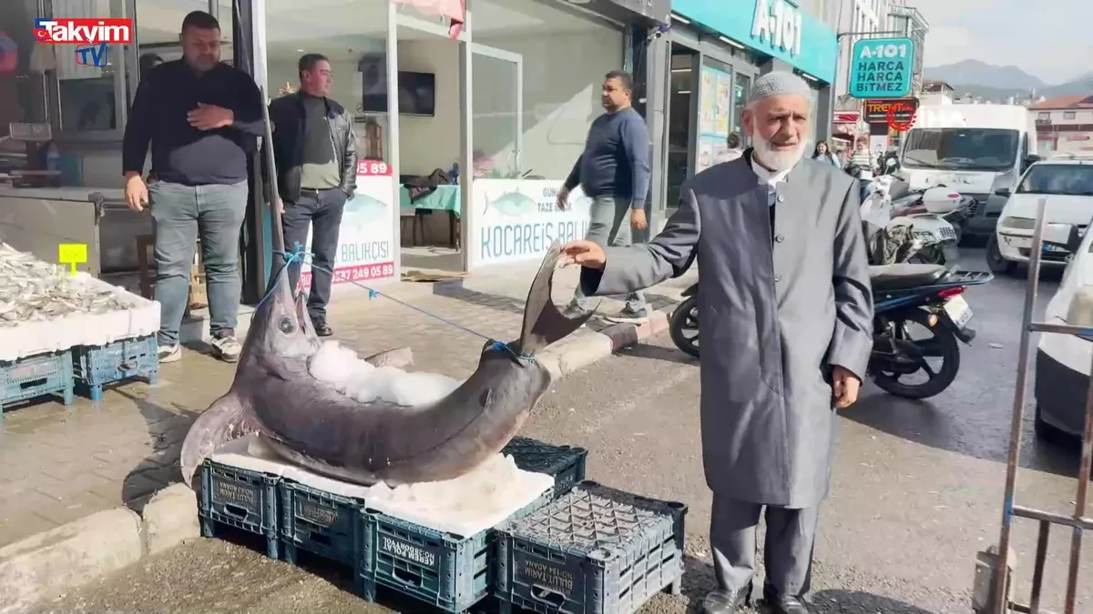 Akdeniz’den dev sürpriz: 138 kiloluk Kılıç Balığı görenleri hayrete düşürdü