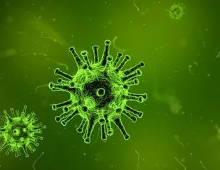 Koronavirüsü hafif atlatanların yüzde 60’ında görülüyor!