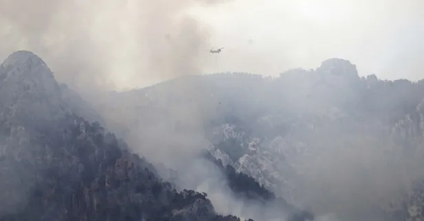 Ciğerlerimiz yanıyor! Dört bir yanda alevlerle mücadele: İzmir, Antalya, Çanakkale...