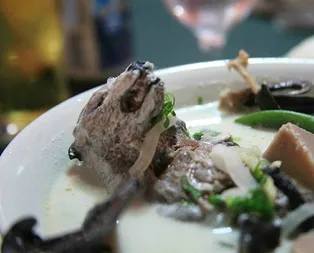 Çinden yayılan corona virüsünün sebebi yarasa ya da yılan çorbası mı? Korona virüsü yarasadan mı bulaştı?